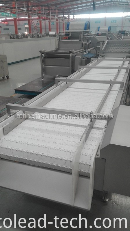 vegetable and fruit conveyor/date selecting conveyor belt/food processing machinery